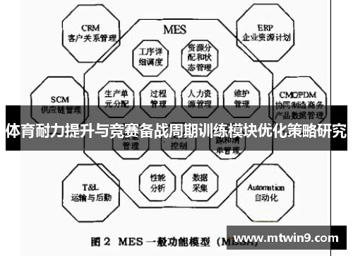 体育耐力提升与竞赛备战周期训练模块优化策略研究
